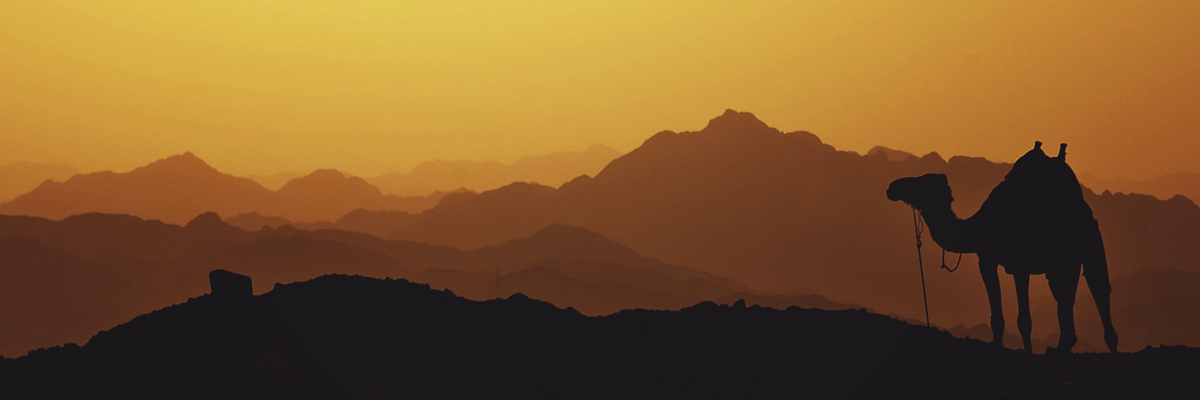 MagicBreaks Middle East carousel banner