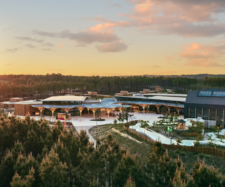 Les Landes de Gascogne