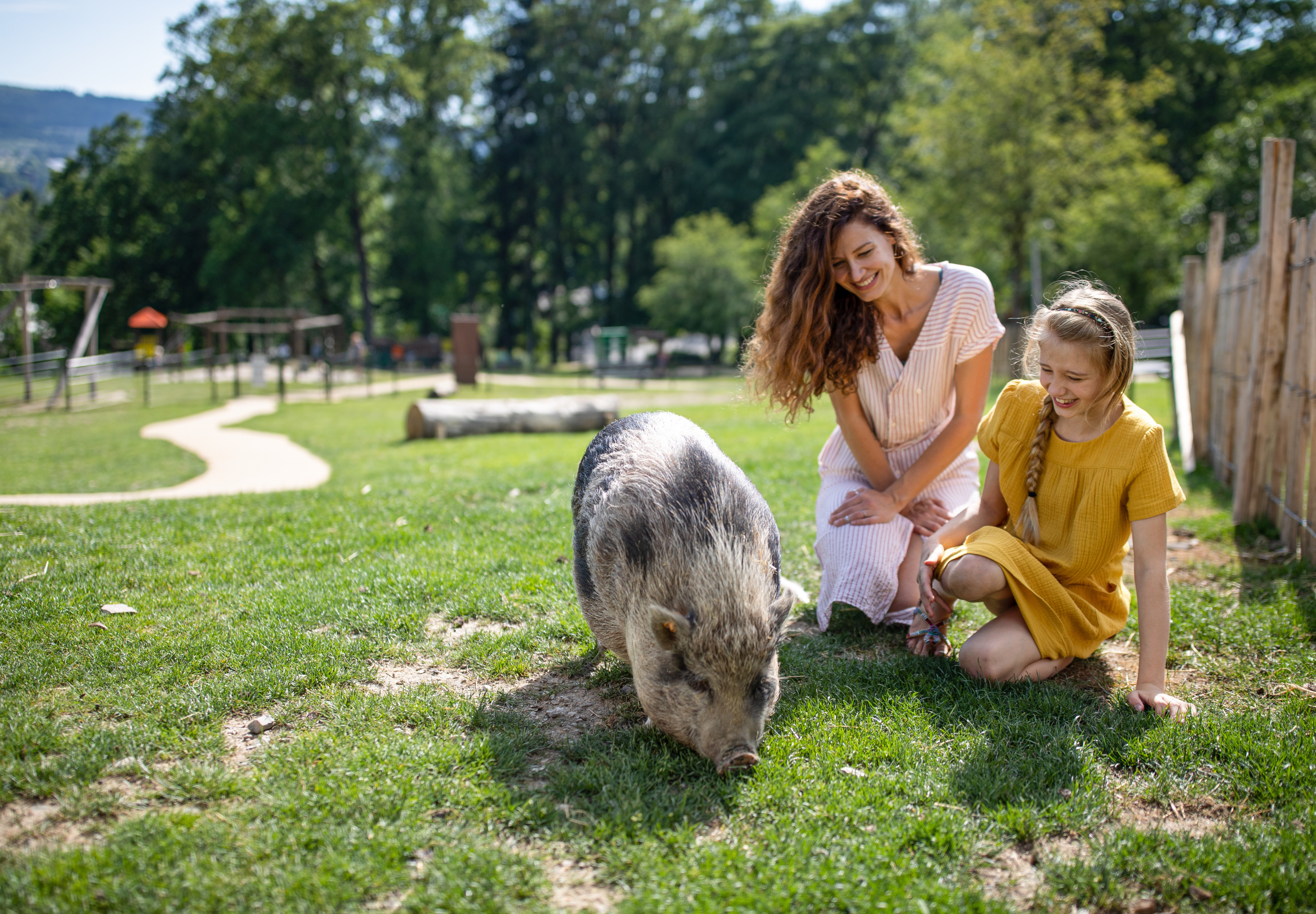 MagicBreaks 10% Off Center Parcs Europe Holidays carousel banner