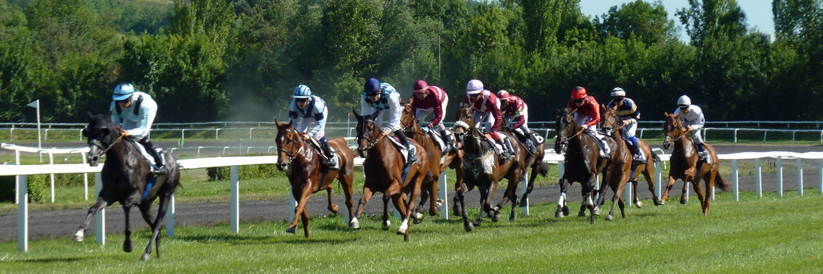 MagicBreaks The Arc & Paris carousel banner