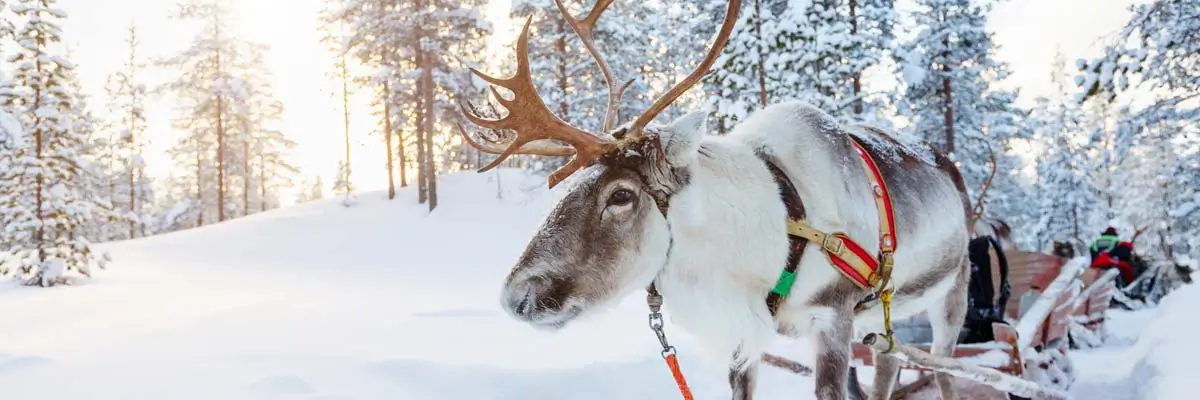 MagicBreaks Lapland holiday 1 carousel banner