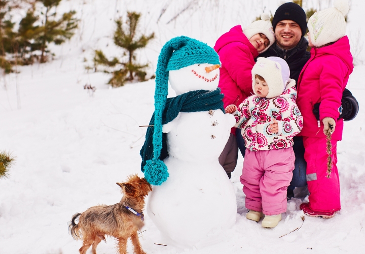 MagicBreaks Save Up to £900 per family on your Luxury Lapland Aurora Getaway! carousel banner