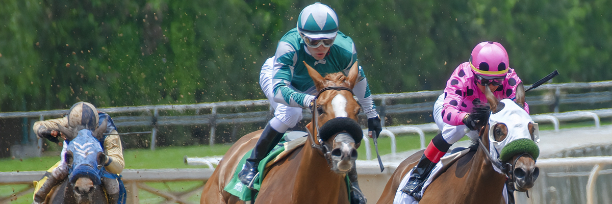 MagicBreaks Ladies Day at Royal Ascot carousel banner