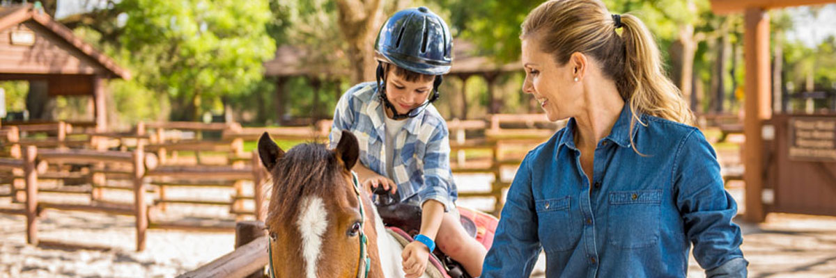 MagicBreaks  carousel banner