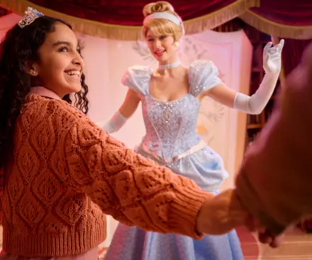 5* Luxurious Royal Coach Trip